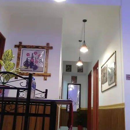 Homestay Budget Kuala Terengganu Tulipsia House Exterior photo