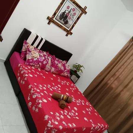 Homestay Budget Kuala Terengganu Tulipsia House Exterior photo
